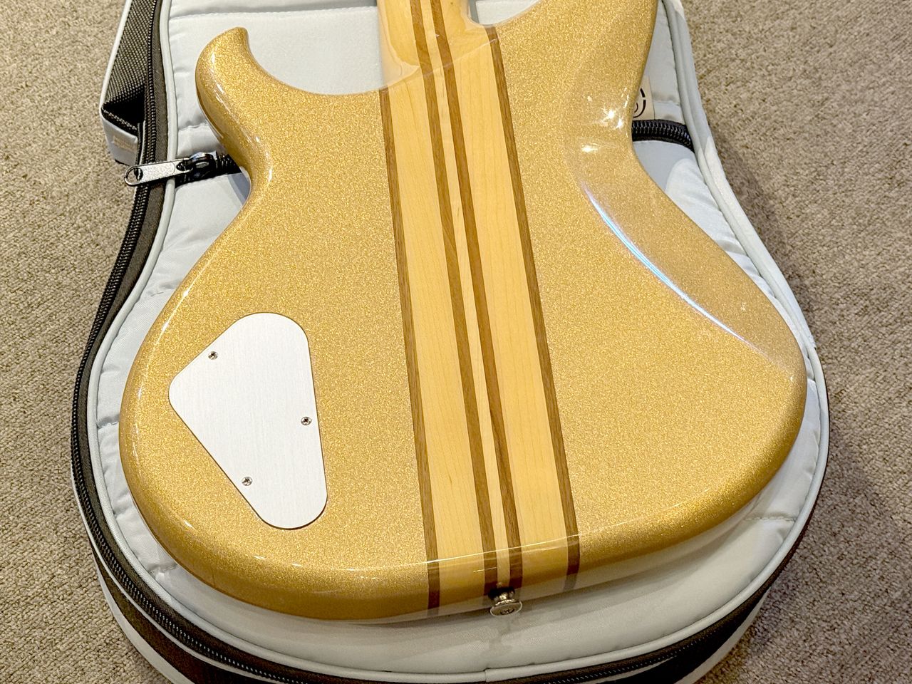 Aria Pro II SB-R60 エレキベース ソフトケース付き Aria Pro II SB