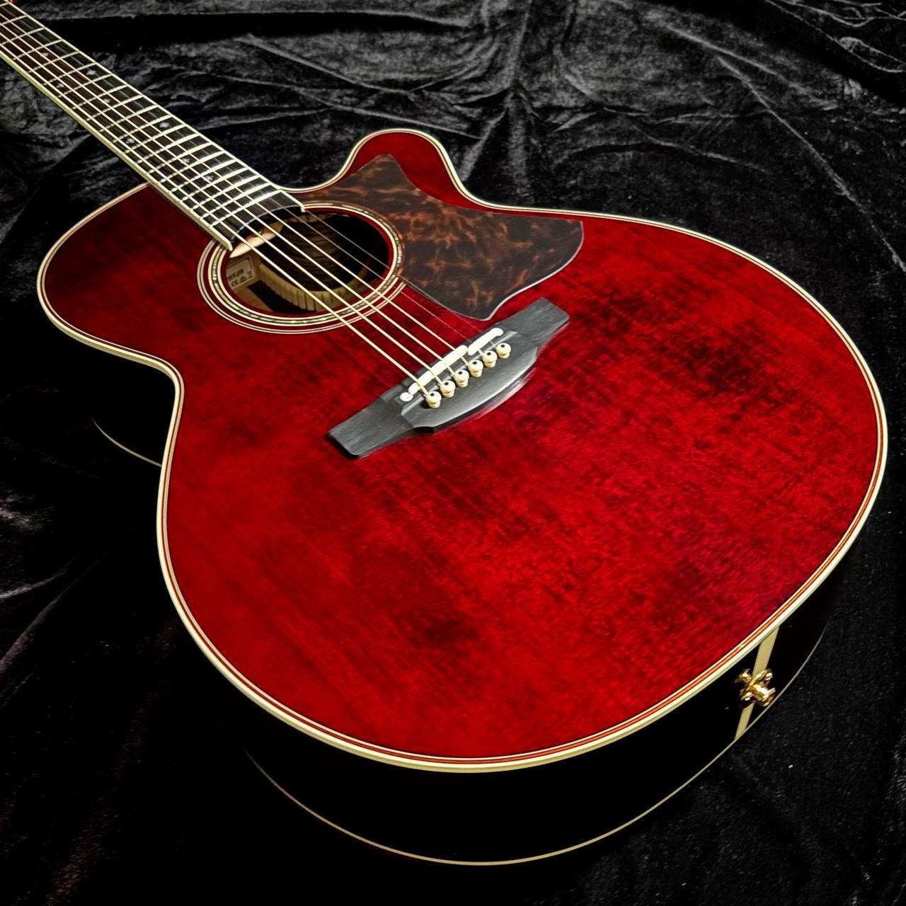Takamine DMP50S WR【現物画像】エレアコギター セミハードケース付属