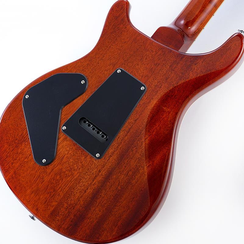 Paul Reed Smith(PRS) USED 中古 SE Custom 24 Semi-Hollow Piezo