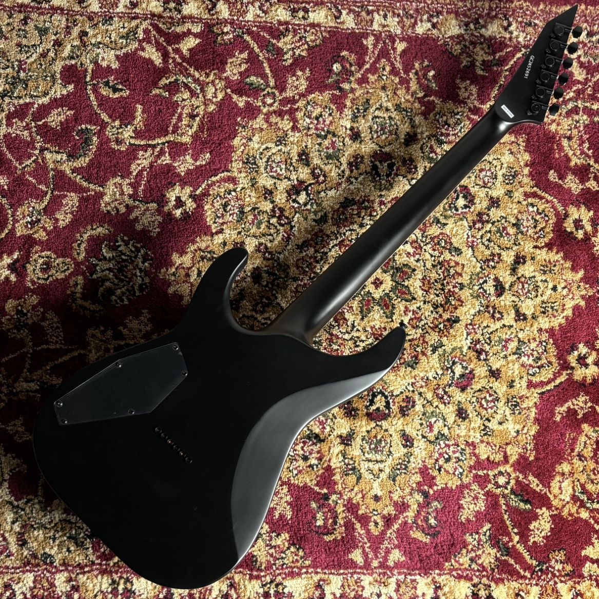 grass roots HORIZON キルトメイプル　エレキギター G-HORIZON | ESP GUITARS