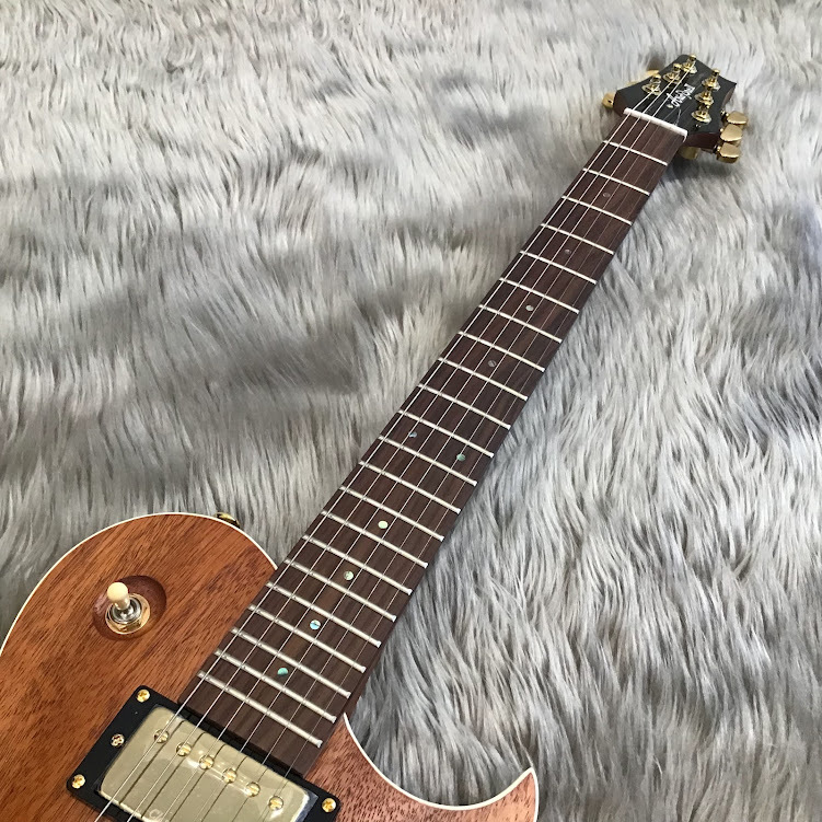 Aria Pro II PE-MAHO2【チョイキズ特価・】（新品特価/送料無料