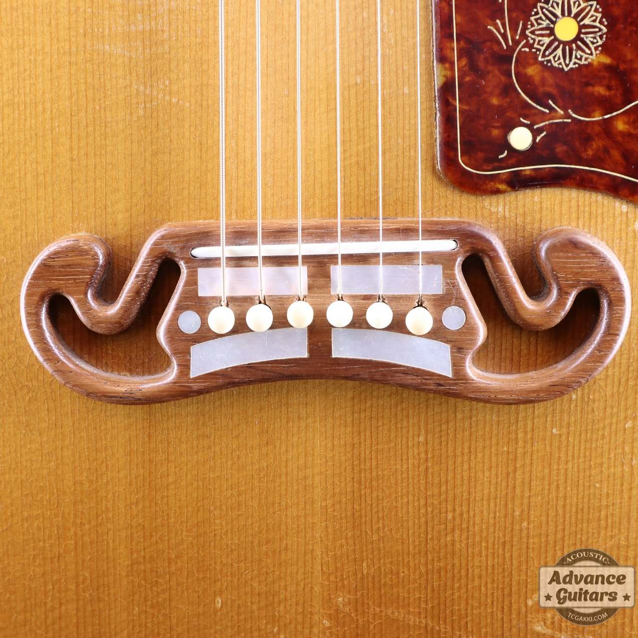 Gibson 1953年製 J-200N（ビンテージ）【楽器検索デジマート】