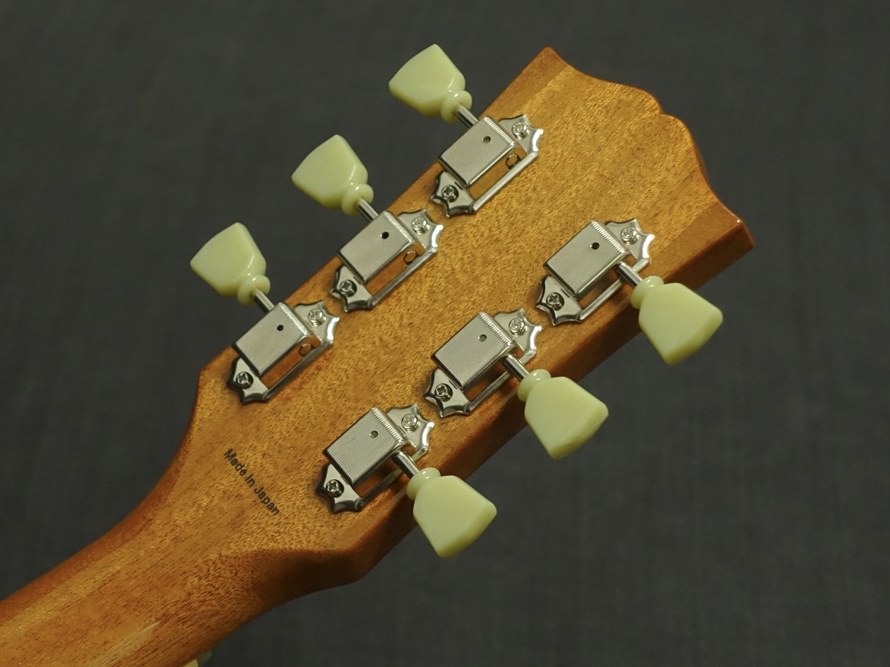 Tokai LS-101S-WA GT（新品/送料無料）【楽器検索デジマート】