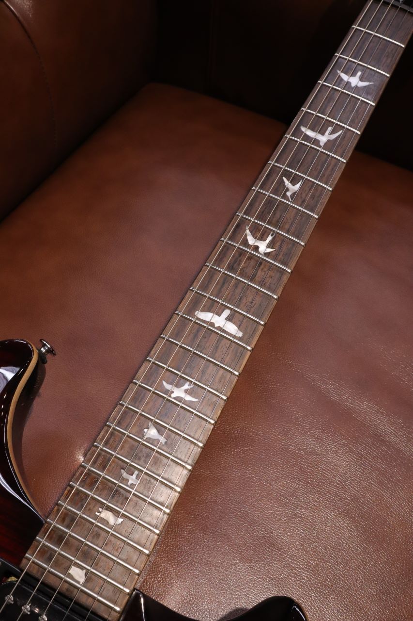 Paul Reed Smith(PRS) 【Japan Special】SE Custom 24 ～Fire