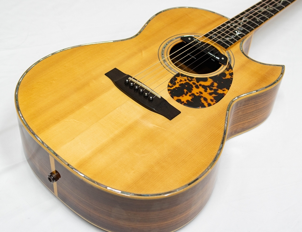 ギター Asturias ,Tree'of.Life. ツリーオブライフ - ASTURIAS