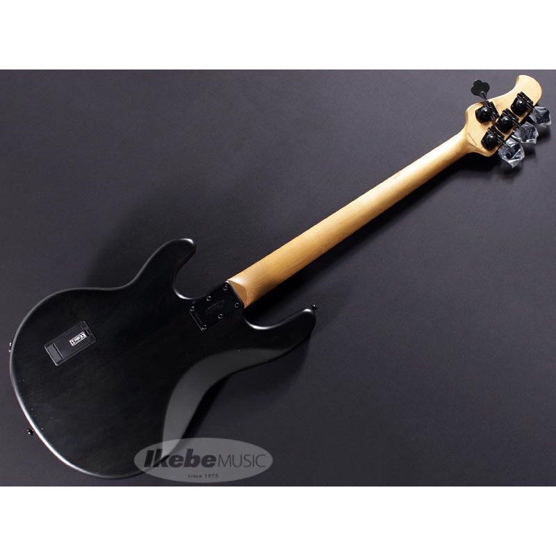 大得価得価 Sterling by MUSICMAN Ray34BP Trans Black Satin イケベ器