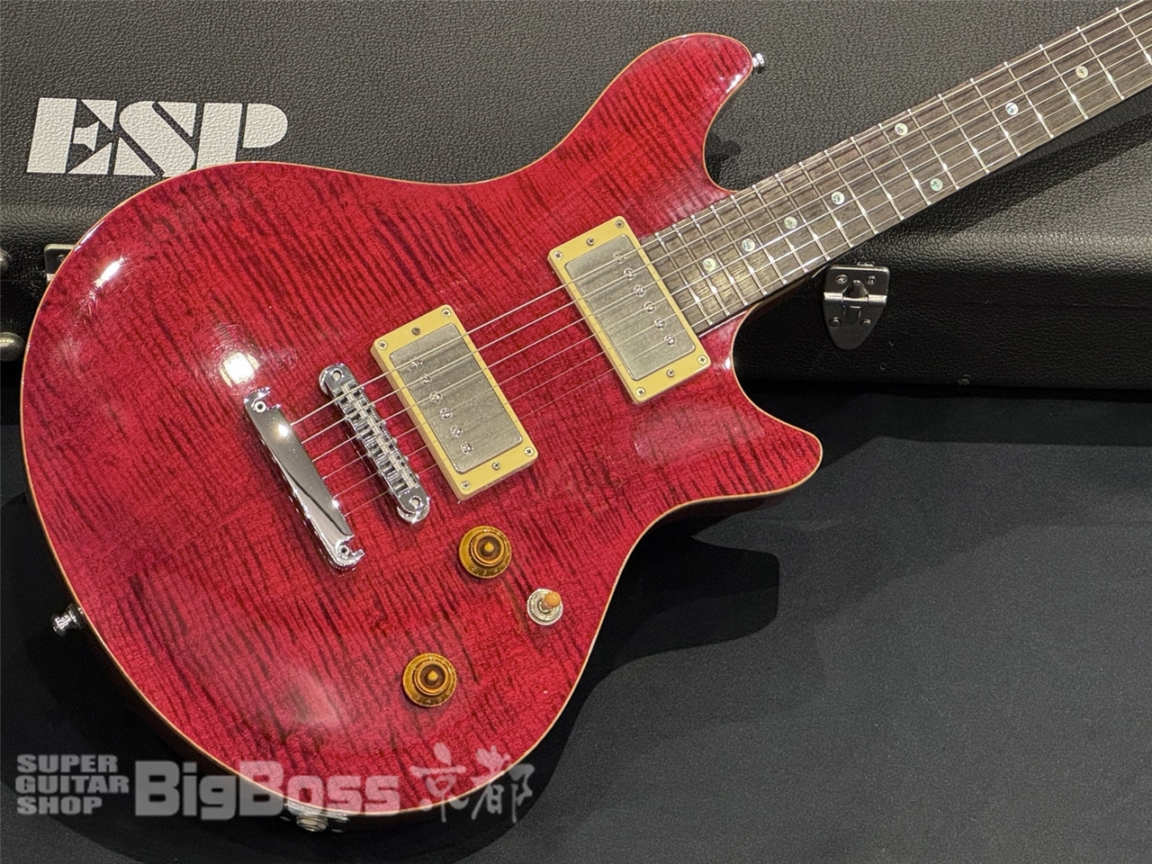 【激渋】ESP potbelly ESP Original Series -POTBELLY-TR-