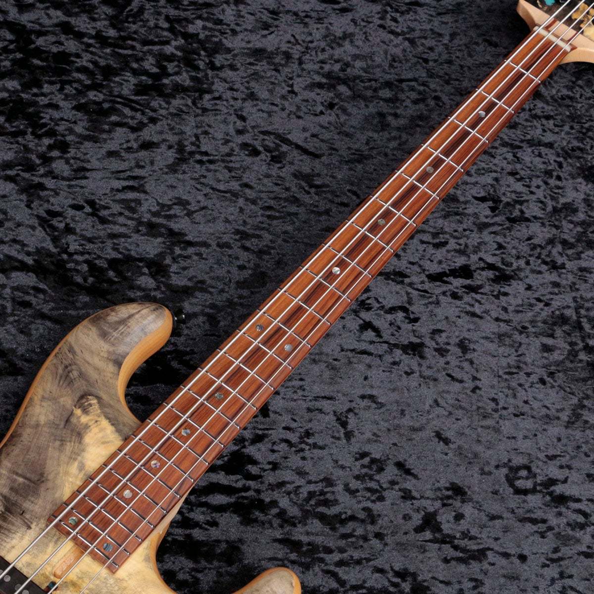 dragonfly CS-4 CUSTOM Buckeye Burl Top 【新宿店】（中古/送料無料