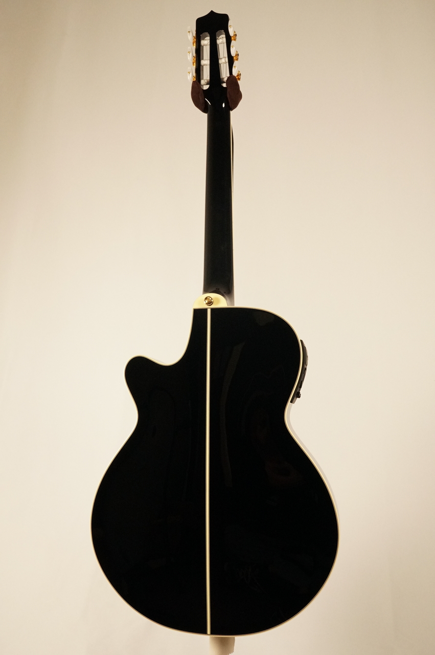 Takamine TSP100 KT-N #63050322【限定10本】（新品）【楽器検索
