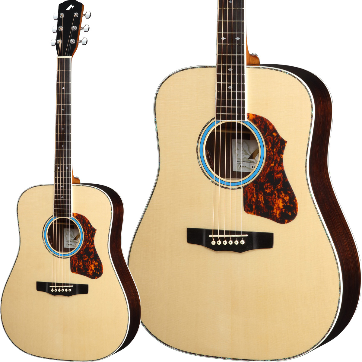 Morris M-AH 青木陽菜 シグネチャーモデル 購入特典付き