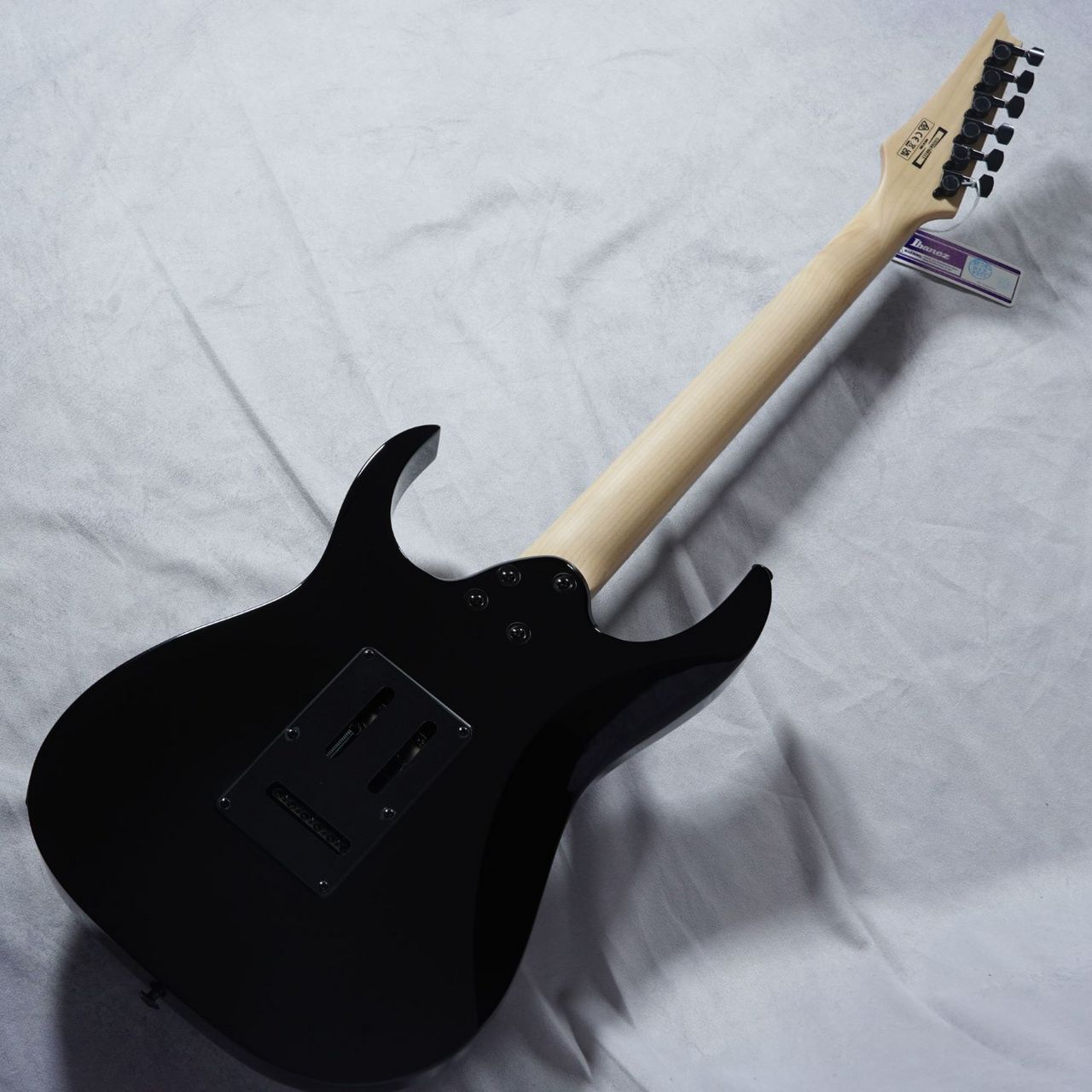 Ibanez RGV250 Black 現物画像/3.19kg（新品/送料無料）【楽器検索