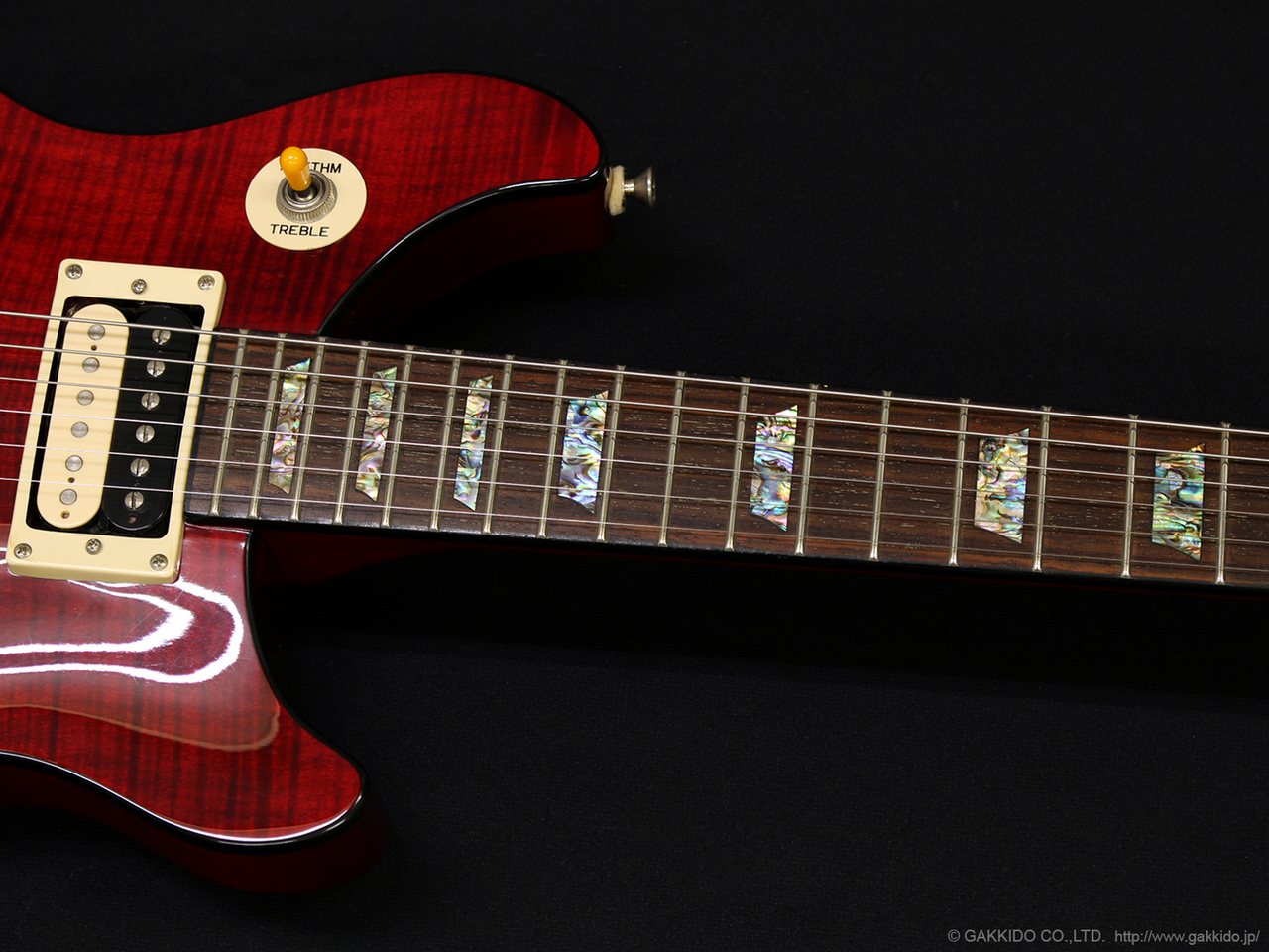 Epiphone Limited Edition 2011 Tak Matsumoto DC Standard [Plus Top