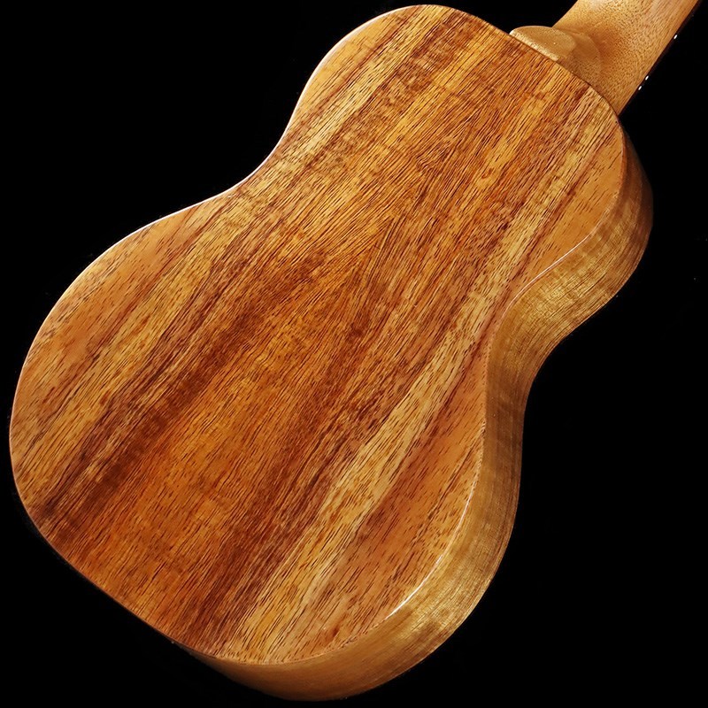 【限定品】FGN Acoustic FUS-TC  フジゲン FUJIGEN FUJIGEN FGN Acoustic FUS-TC [Concert] フジゲン ｜イケベ楽器店