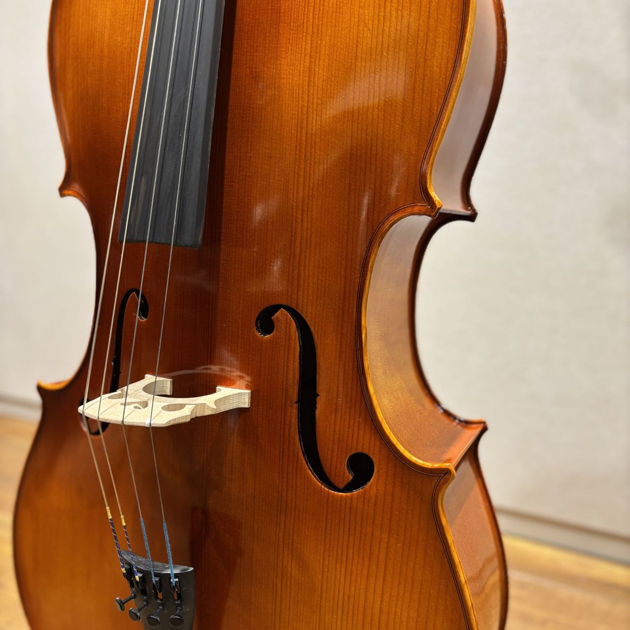Eastman Eastman VC100 4/4 チェロセット（新品/送料無料）【楽器検索