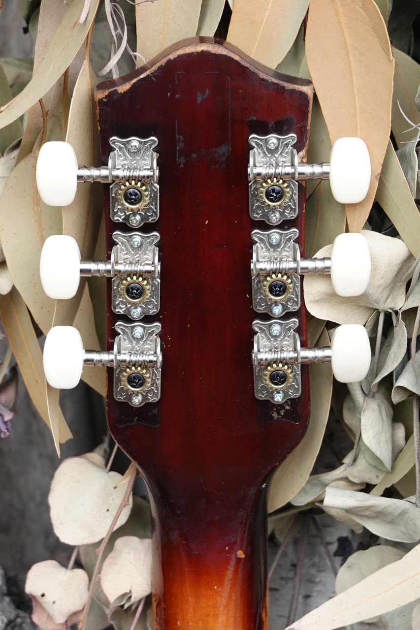 Teisco EP-8（ビンテージ）【楽器検索デジマート】