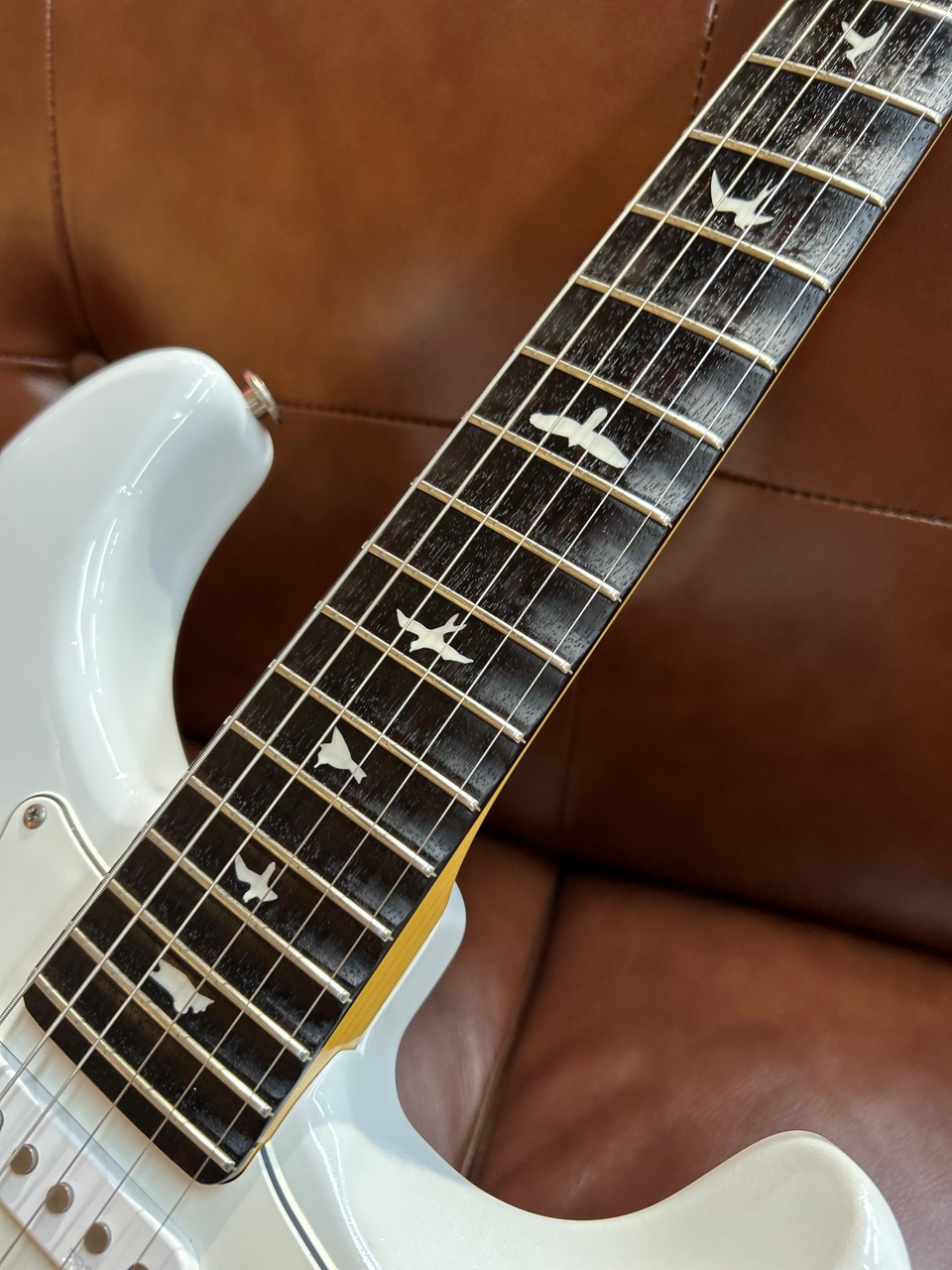 Paul Reed Smith(PRS) 【スキャロップド加工】SILVER SKY Mod ～Frost