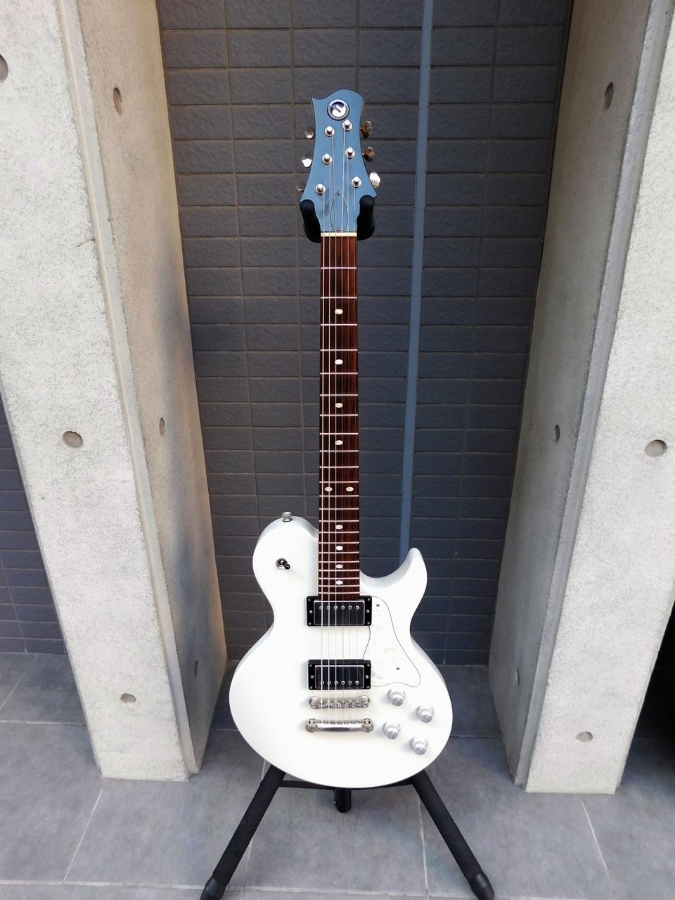 FREEDOM CUSTOM GUITAR RESEARCH RRS Bravery-12（中古）【楽器