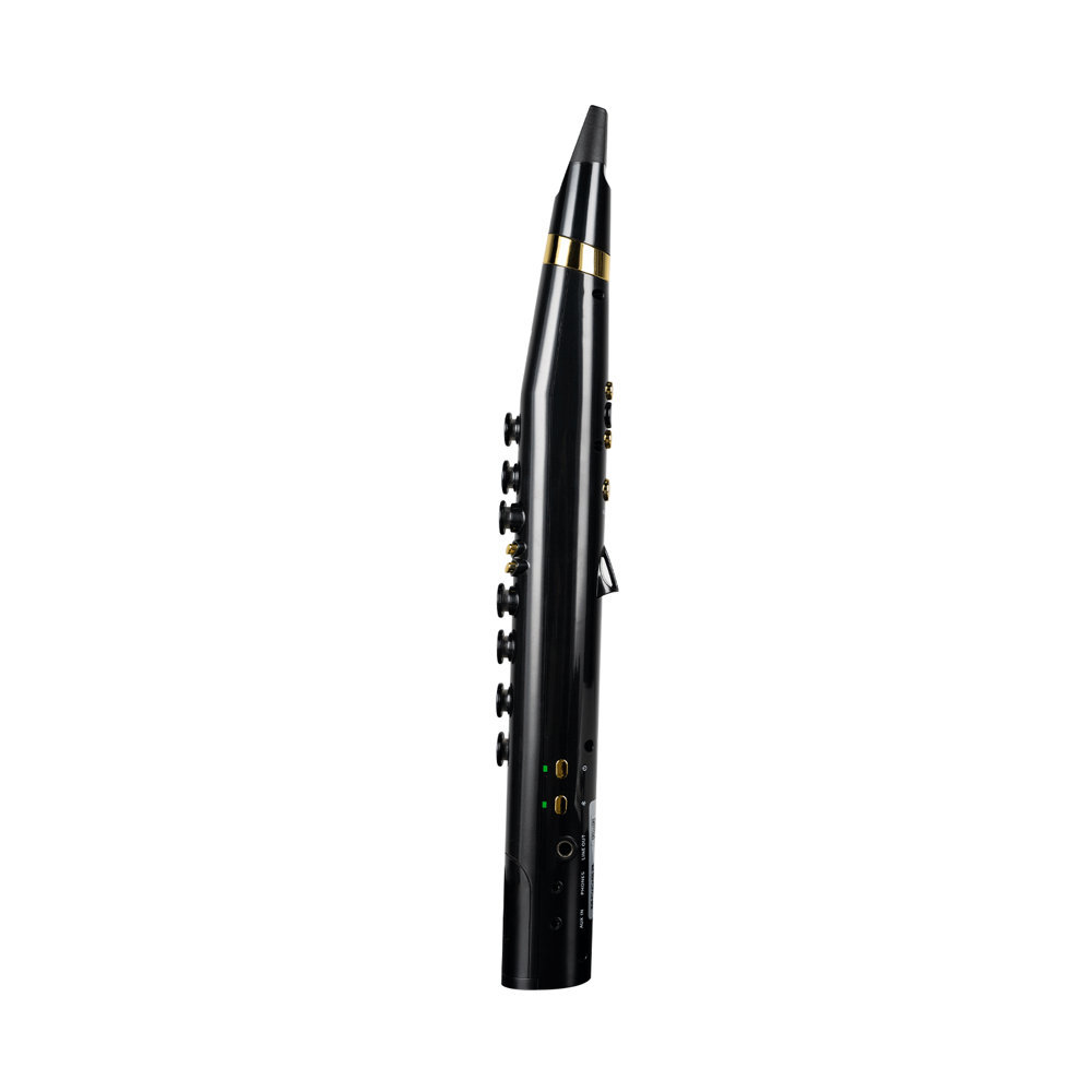 MOOER Wind Instrument 100 Wi100 Black ウインドシンセサイザー