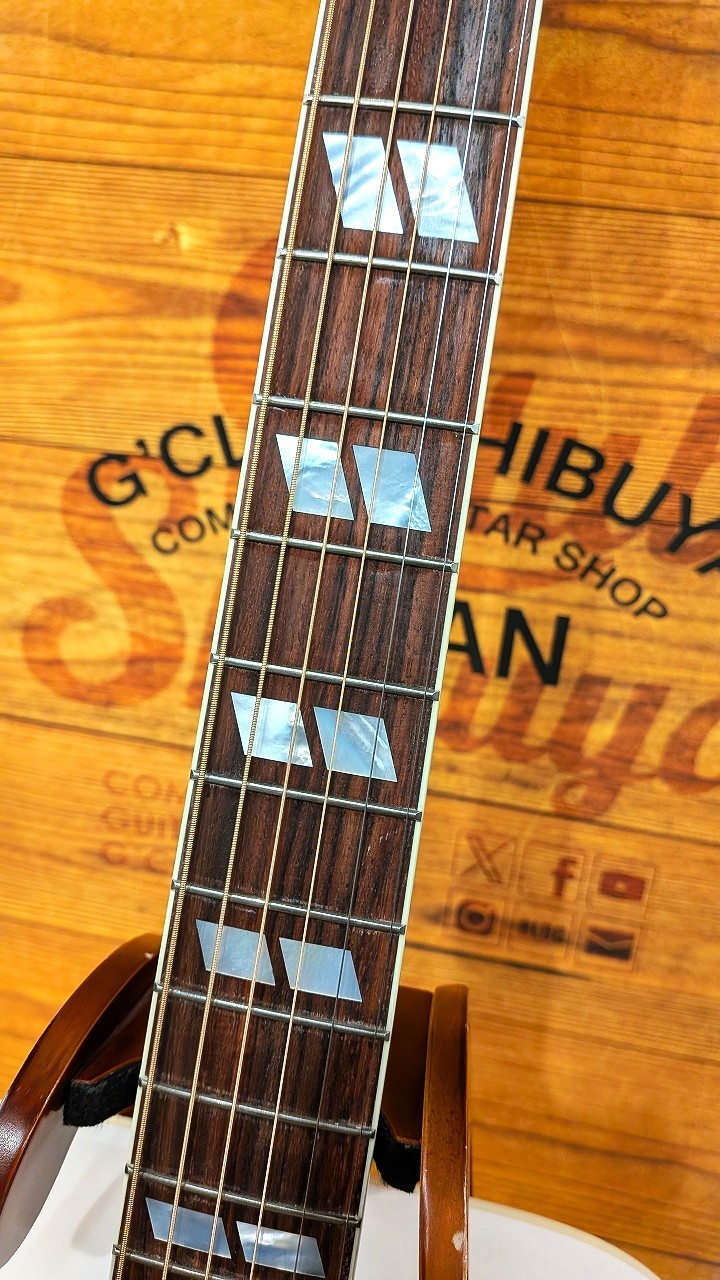 Gibson Custom Shop【ご購入特典アリ!】Dove Alpine White【限定製作