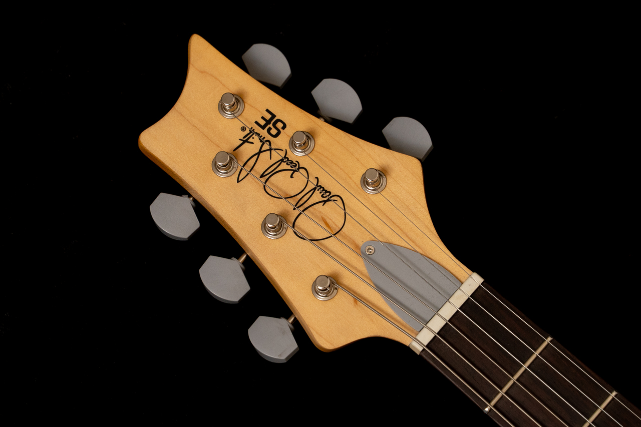 Paul Reed Smith(PRS) SE Silver Sky Rosewood Dandy Lion 3.19kg