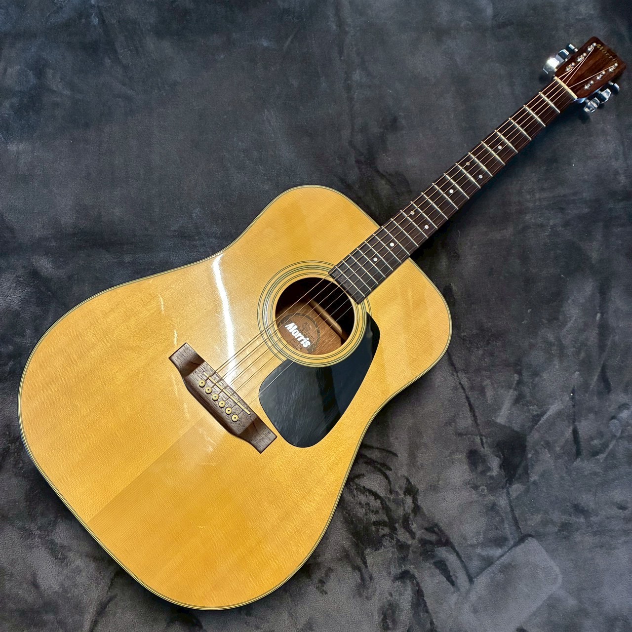 Morris MD502 【USED】【2.08㎏】（中古）【楽器検索デジマート】