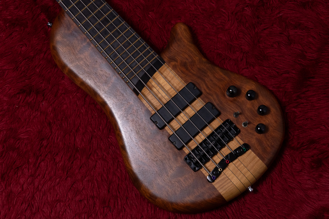Warwick Thumb Bass Single Cut 5st 2011 4.975kg #A 156018 11【GIB