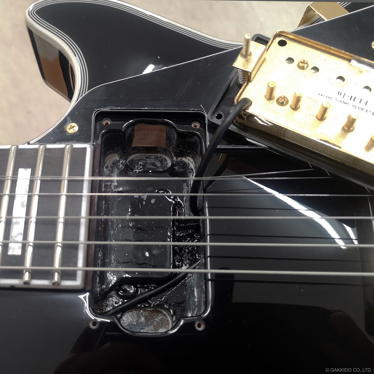 EDWARDS E-LP-CTM 