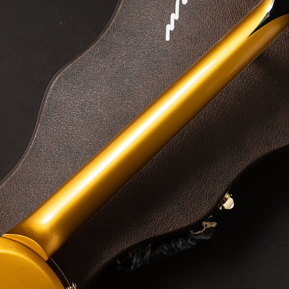 Bizen Works BURNED 54 CTM ALL Gold Back Fire Bird PU（新品）【楽器