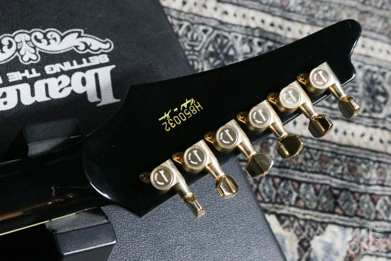 アイバニーズ　デストロイヤー2 DT−450 ハードケース、純正ソフトケース付き アイバニーズ デストロイヤー2 DT−450 ハードケース、純正ソフト