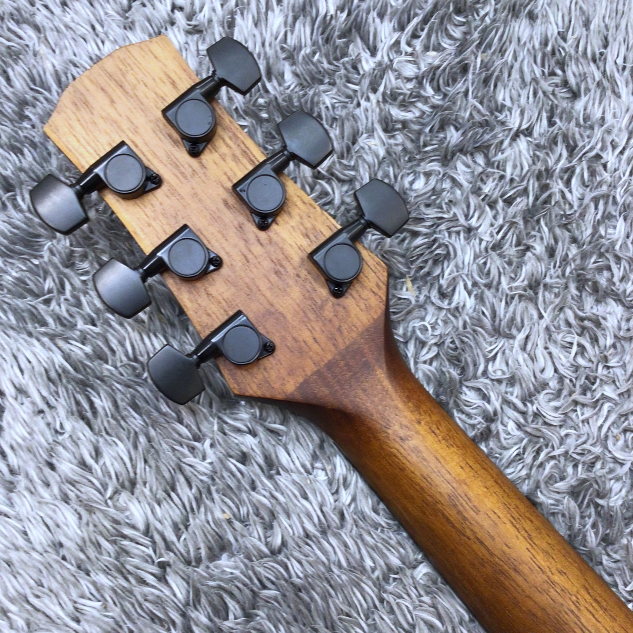 Morris F-021 RBS (Red brown Sunburst) -Performers Edition