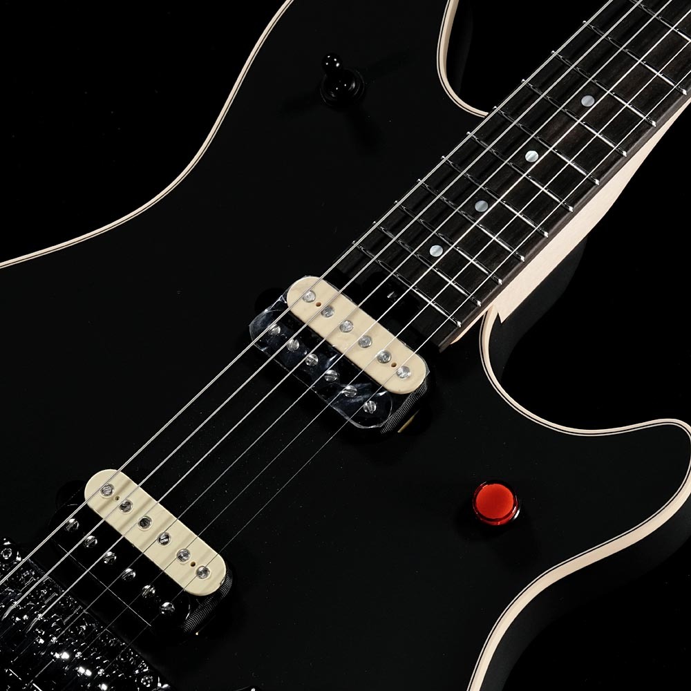 EVH Wolfgang USA Edward Van Halen Signature, Ebony Fingerboard