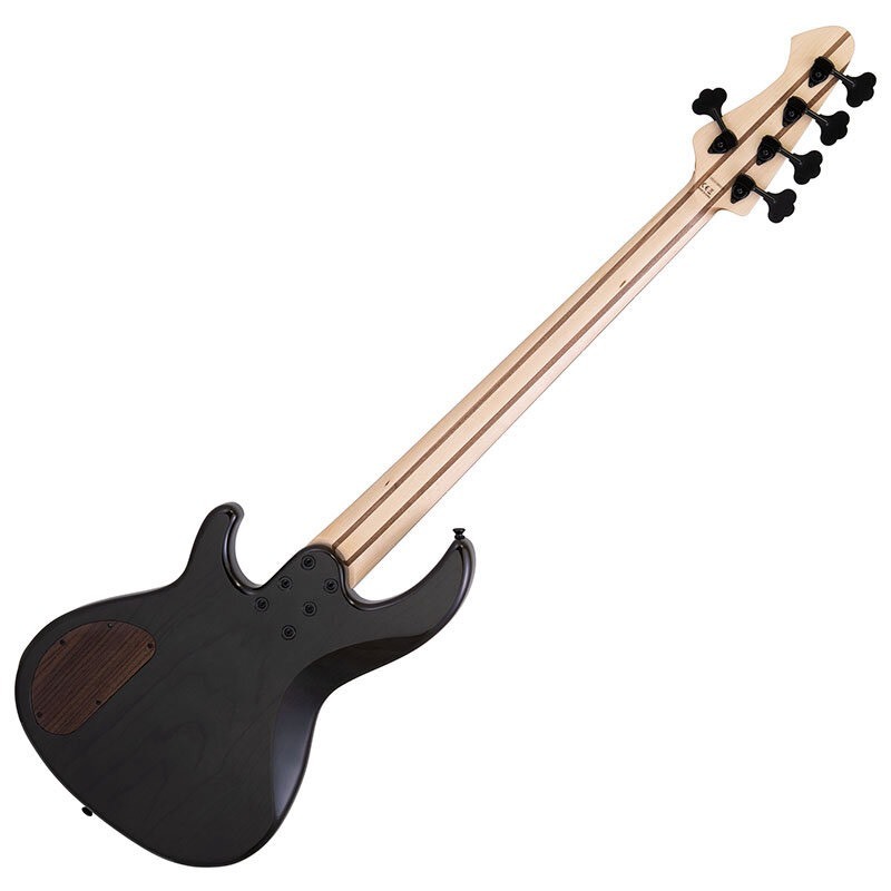 Aria Pro II RSB-700WP/5【24F仕様のパッシブ5弦】（B級特価/送料無料