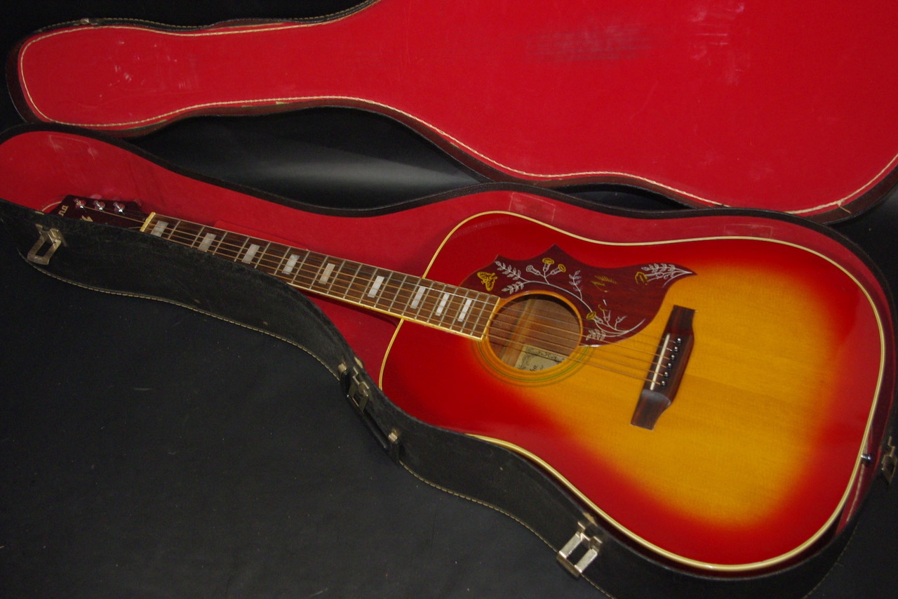 gibona WG-250（ビンテージ）【楽器検索デジマート】