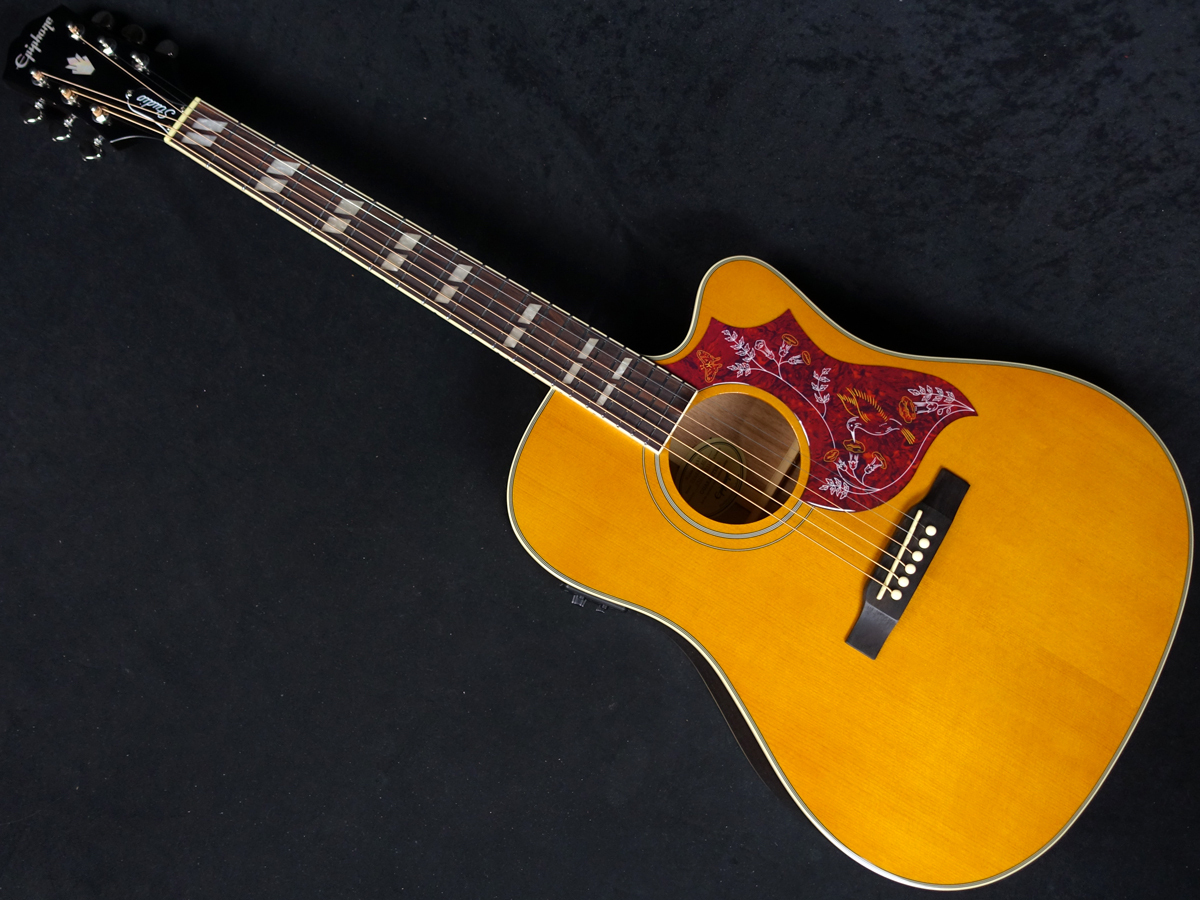 Epiphone Hummingbird Studio EC Natural（新品）【楽器検索デジマート】