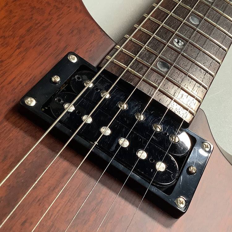 Paul Reed Smith(PRS) SE22STD 사진 10