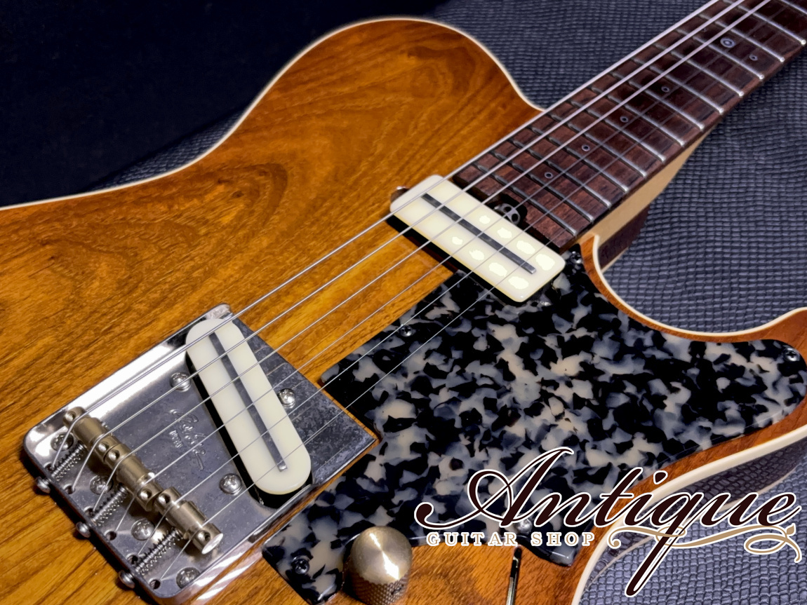 Asher Guitars Master Series T Deluxe Violin Burst /T-Swamp