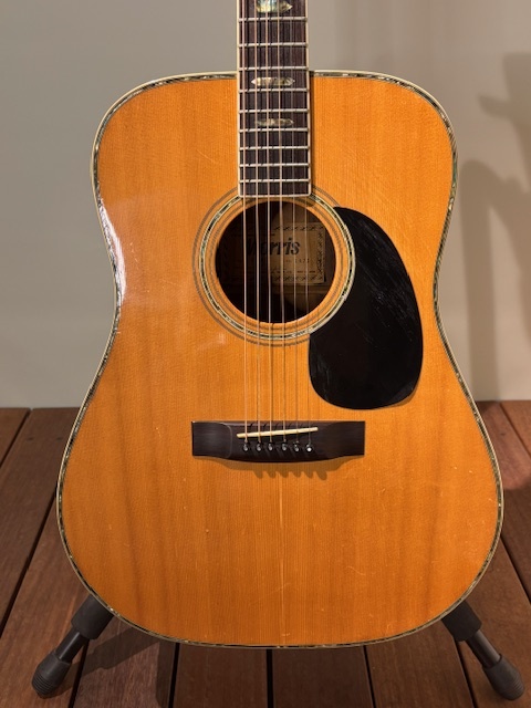 Morris アコースティックギター w40ドレッドノート Morris W-40 ドレッドノート アコースティックギター 【公式通販】