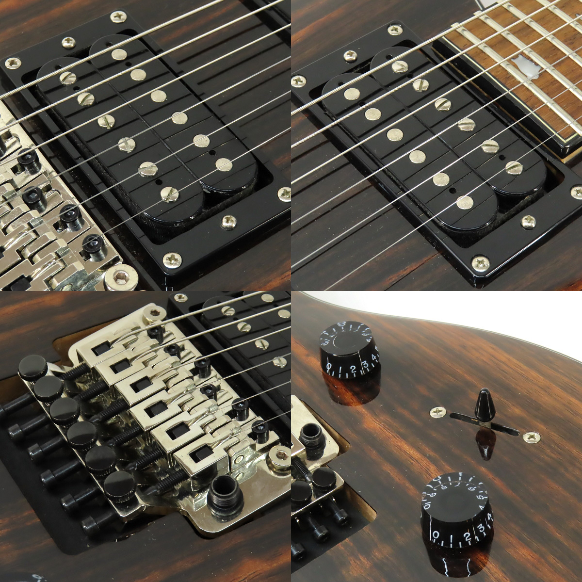 Paul Reed Smith(PRS) SE Exotic Ebony Custom 24 Floyd（中古