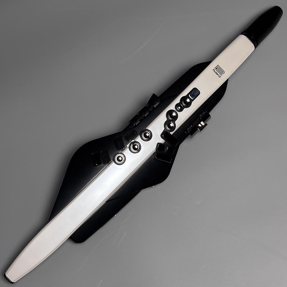 Roland Aerophone AE-20