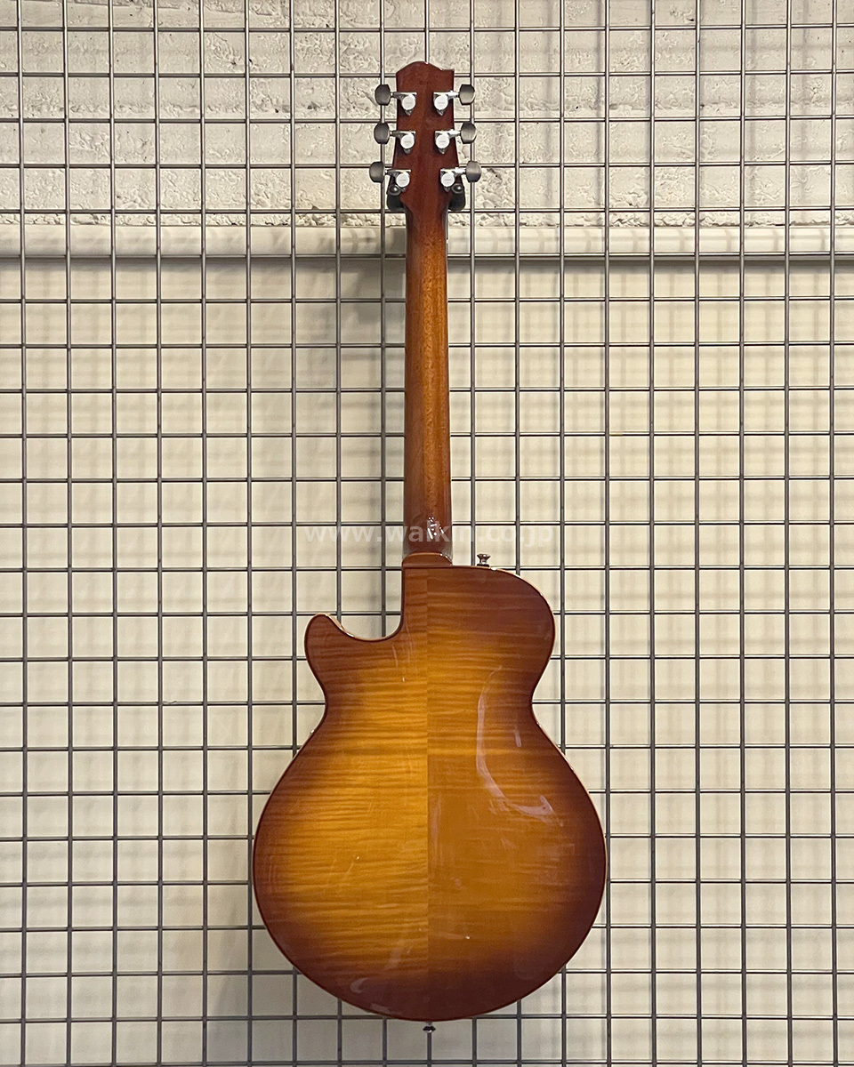 Sadowsky Semi-Hollow Model（新品）【楽器検索デジマート】