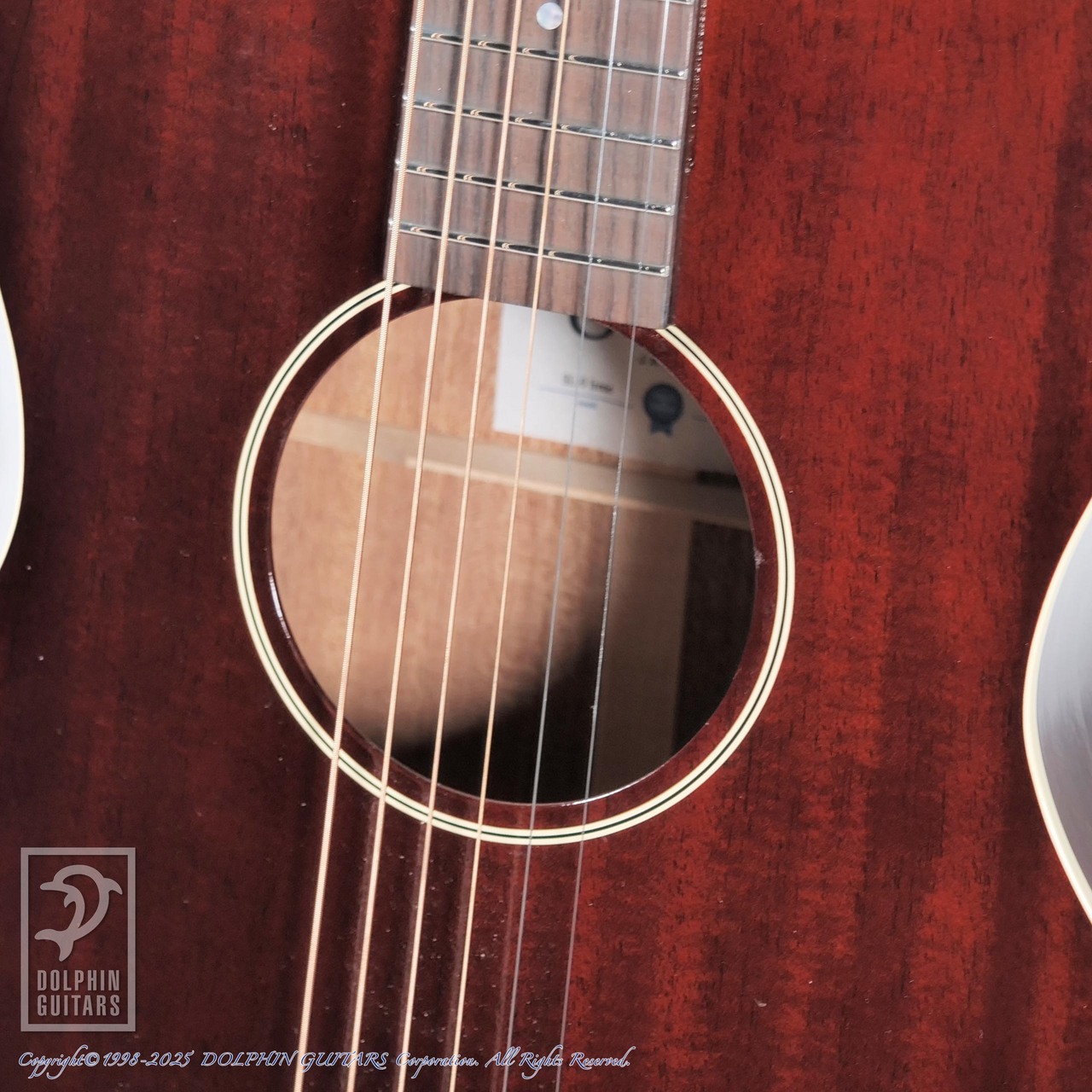 SWITCH SL-0 Irene【48回無金利対象品】（新品）【楽器検索デジマート】