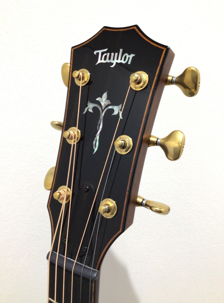 Taylor 914ce Special Edition（新品/送料無料）【楽器検索デジマート】