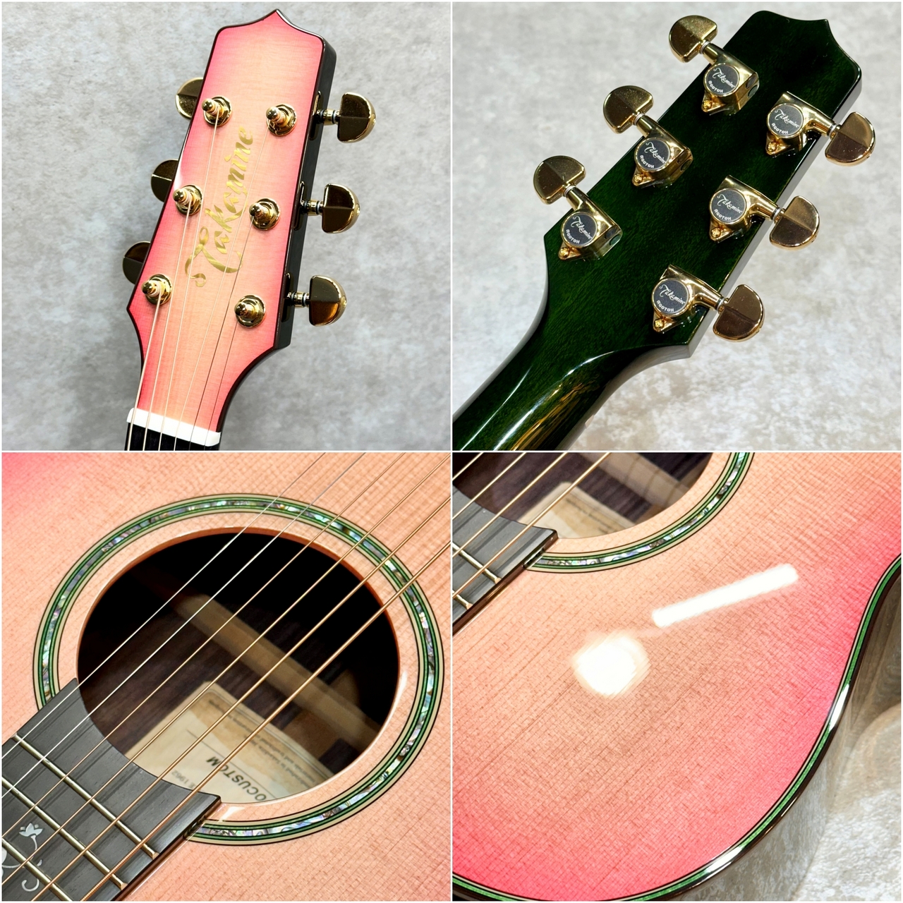 Takamine 【現物動画あり】700 CTM 蓮の花(ハスノハナ)【生産数1本