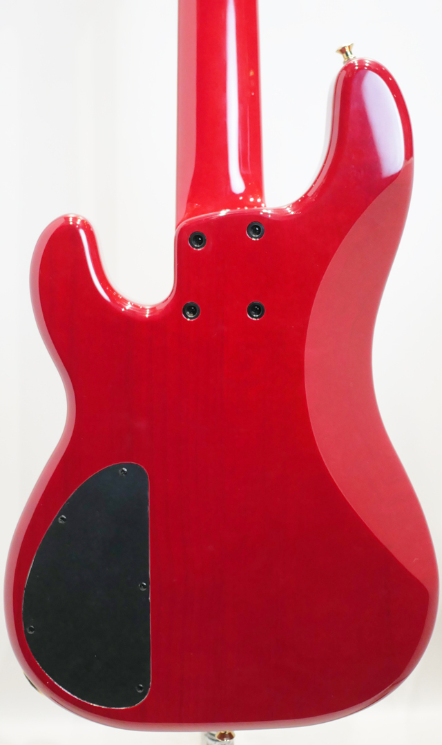 Phoenix Bomber Bass / BB-5-109 PJ Buckeye Burl /MR 