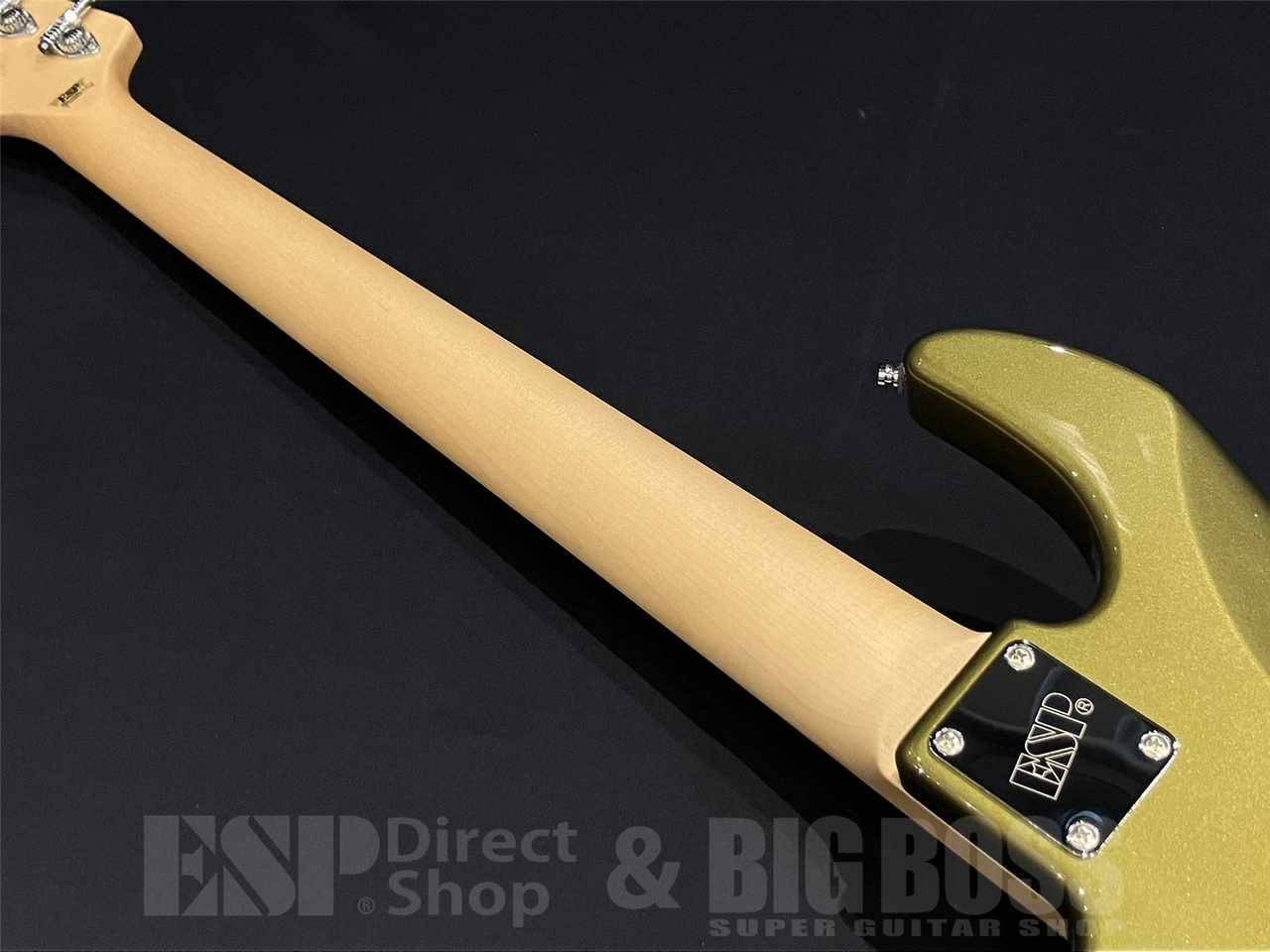 ESP AMAZE-AL-5 / Citron Green【2026最新仕様】（新品/送料無料