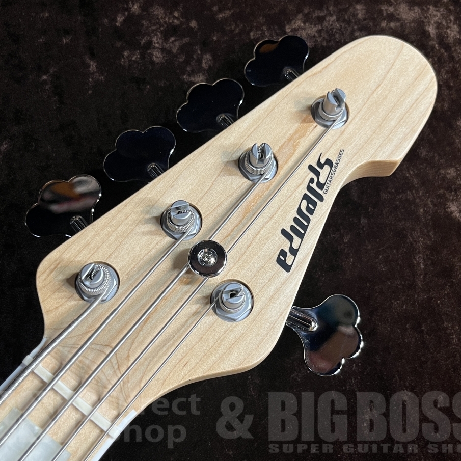 EDWARDS E-AMAZE-AS-5/M【Solid Black】（新品/送料無料）【楽器検索