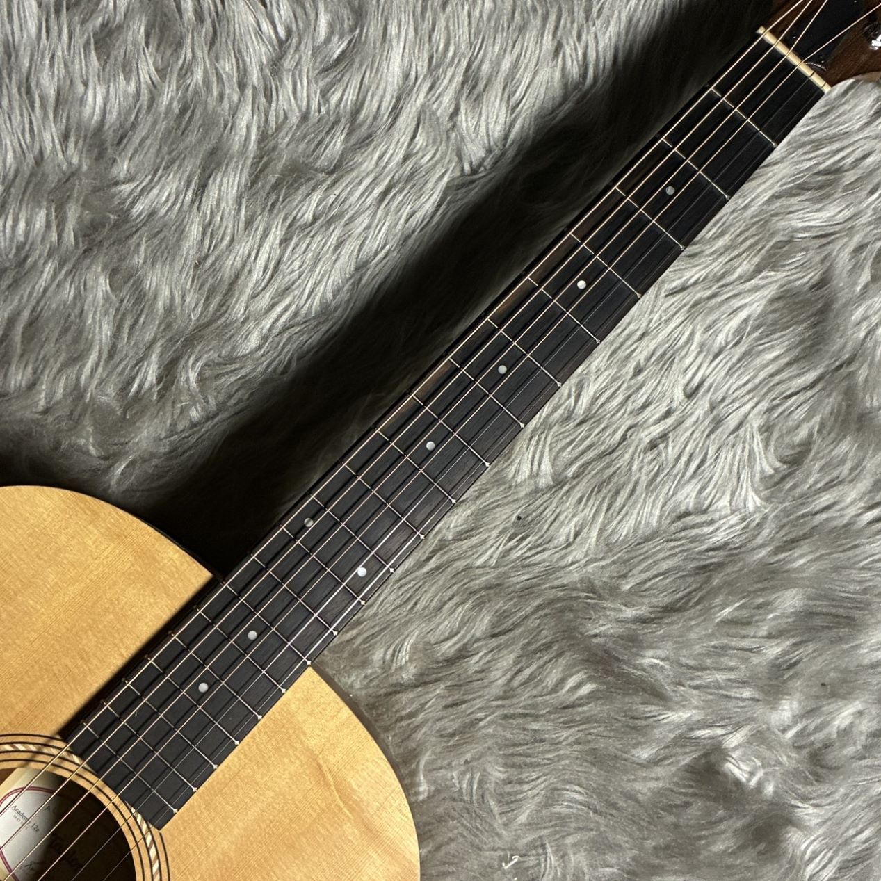 Taylor Academy 12e 【特別価格】【現物画像】（新品/送料無料）【楽器
