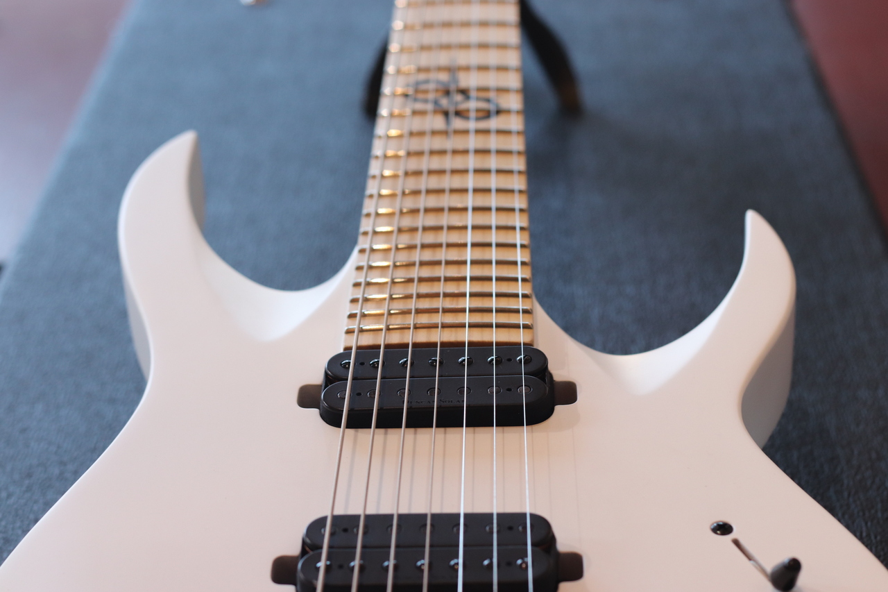 SOLAR Guitars (ソーラーギターズ)A2.7W 7Strings Guitar（中古/送料