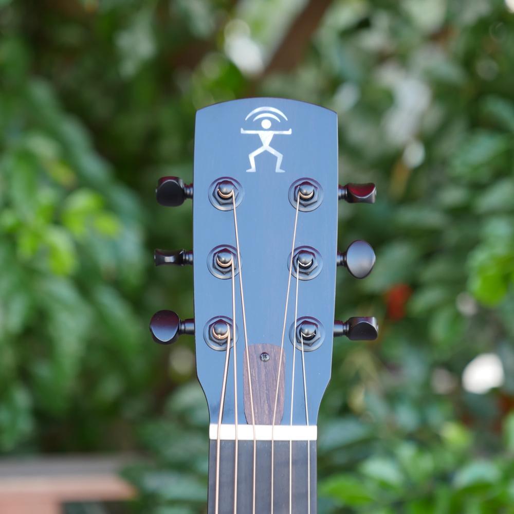 aNueNue Bird Guitar Series Solid Koa Top aNN-M32（新品/送料無料
