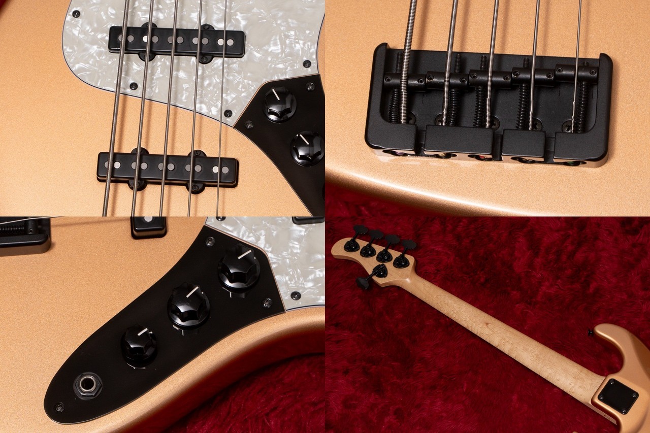 希少品‼️Wood custom guitars vibe5 ハードケース付き 希少品‼️Wood